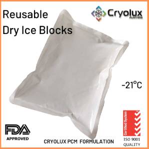 Reusable Dry ice Blocks